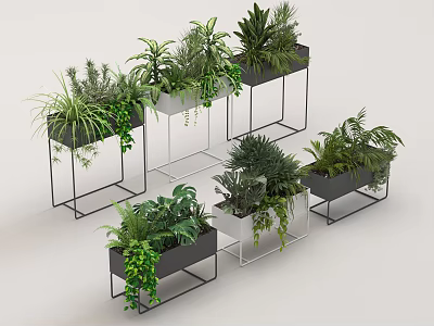 Various Green Plants In Metal Stand Planters With Different Heights And Shapes On Display Shelves 3d model