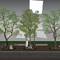 Outdoor Decorative Lights Hanging On Trees In Evening Garden With Glowing Effects