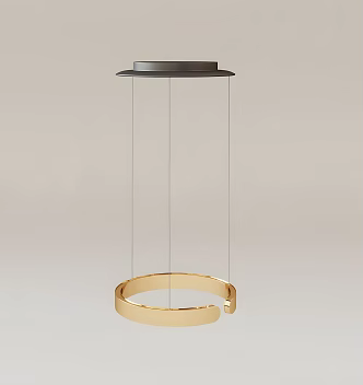 Modern Chandelier Modern Lamp Chandelier Ceiling Lamp Fashionable Simple Household Appliances Electrical Appliances Lampshade 3d model