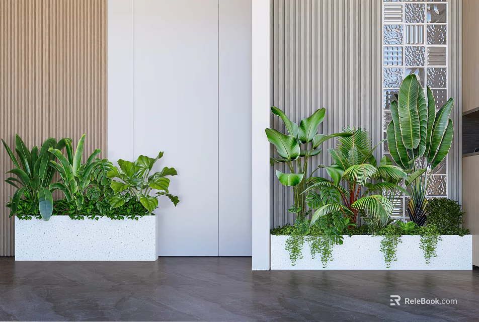Indoor Landscape Featuring Green Plants In White Planters With Multi Textured Walls And Dark Flooring 3d model 