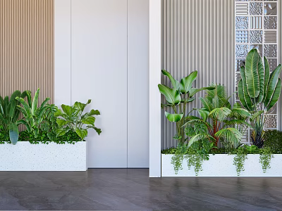 Indoor Landscape Featuring Green Plants In White Planters With Multi Textured Walls And Dark Flooring 3d model