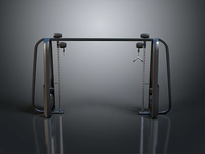 Home Fitness Double Bar Training Rack With Metal Frame And Chain Handles 3d model
