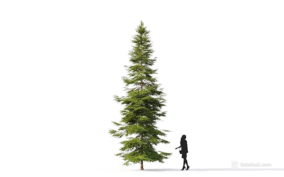 Tall Arbor Standing With Black Clad Person Against White Background 3d model 