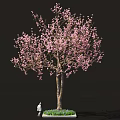 Sakura Inspired Food Display With Pink Blossom Tree And Green Grass