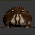 Fat Red Spotted Frog With Short Limbs And Round Body On Dark Background 3d model
