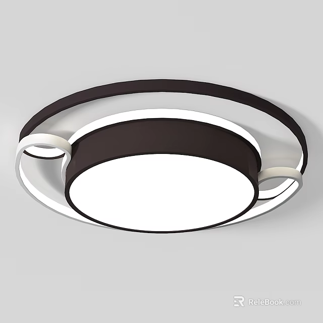 Modern Circular Ceiling Light With Black And White Ring Design For Home Interior 3d model