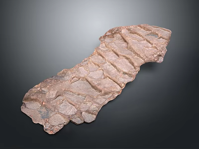 Natural Long Wooden Stone Slab Featuring Unique Textured Surface For Decorative Use 3d model