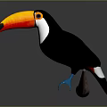 Vibrant Toucan with Yellow Orange Beak Black Body and White Throat Perched on Wooden Branch