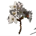 Beautiful White Cherry Blossoms With Blooming Flowers And a Bud On White Background
