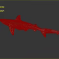 Gray Shark With Red Tail Swimming In Dark Background With Reflection 3d model