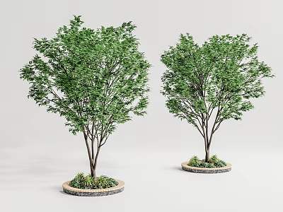 Lush Green Trees With Dark Trunks In Round Planters And Small Plants 3d model