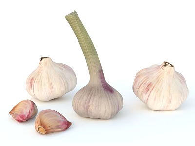 Fresh Garlic Whole Bulbs and Peeled Cloves on White Background 3d model