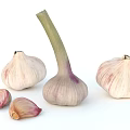 Fresh Garlic Whole Bulbs and Peeled Cloves on White Background