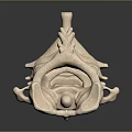 Accurate 3D Rendered Human Spine Anatomical Model With Detailed Vertebrae Structure