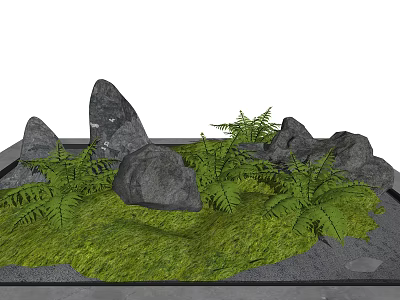 Courtyard Garden Design With Natural Stones Ferns And Green Moss Grass 3d model