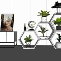 Modern Indoor Potted Plants Display On Hexagonal Shelves With Decorative Items 3d model