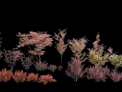 Colorful Ornamental Shrubs With Different Hues For Garden Landscaping Design 3d model