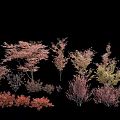 Colorful Ornamental Shrubs With Different Hues For Garden Landscaping Design