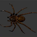 Rusty Metallic Spider Sculpture With Long Legs On Smooth Gray Background 3d model