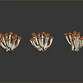 Orange Cap Mushrooms Fresh Cluster With White Stems On Dark Reflective Surface 3d model