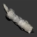 Gray Wolf 3D Model With Lifelike Gray Fur Standing On Dark Background 3d model