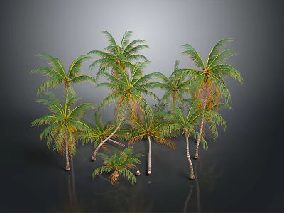 Group Of Green Palm Trees With Lush Fronds In Gray Background And Reflections 3d model