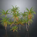 Group Of Green Palm Trees With Lush Fronds In Gray Background And Reflections