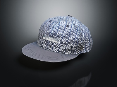 Modern Cap Hat 3d model