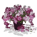 Elegant Woven Basket Vase With Purple Pink Flowers And Scattered Petals