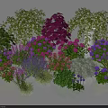 Vibrant Flowers and Plants Collection with Purple Pink Blooms and Lush Green Foliage Assortment