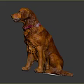 Orange Dog With Red Collar Sitting On Gray Background In Studio 3d model