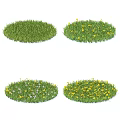 Various Circular Flowers and Grass Patches With Different Green Yellow Blue White Blooms