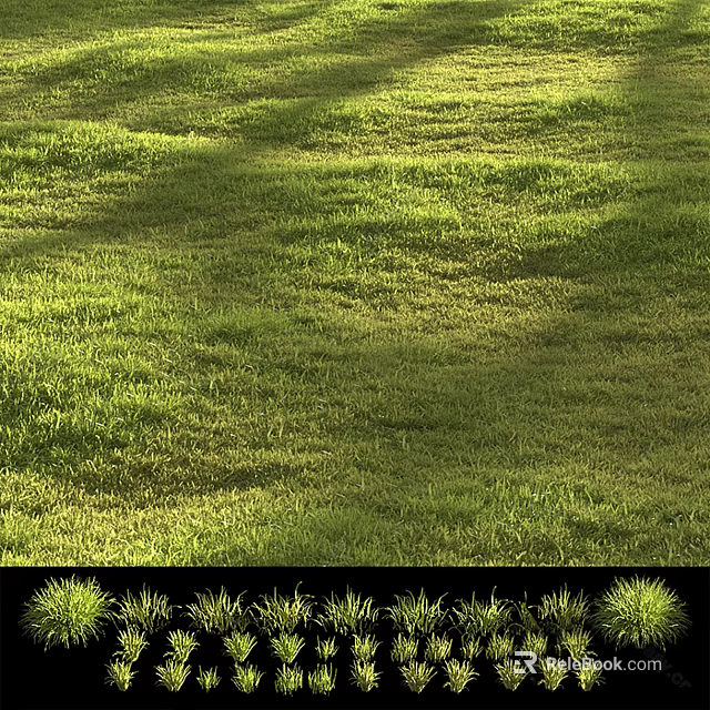Lush Green Grass Field With Sunlight And Natural Shadow Patterns 3d model 