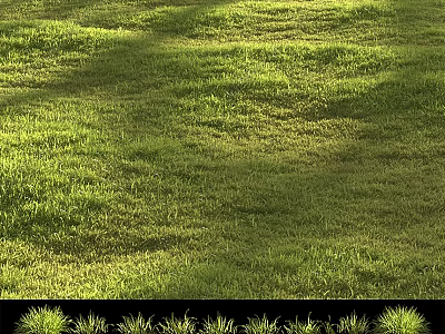 Lush Green Grass Field With Sunlight And Natural Shadow Patterns 3d model