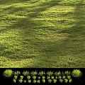 Lush Green Grass Field With Sunlight And Natural Shadow Patterns 3d model
