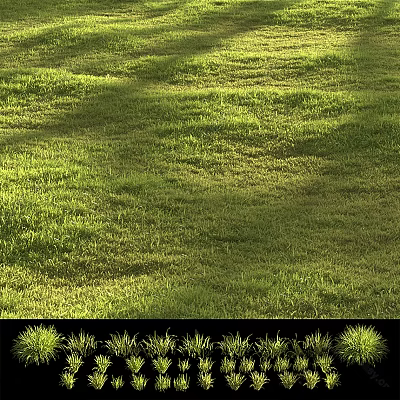 modern grass lawn 3d model