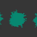 Tall Evergreen Trees With Lush Green Foliage Standing In A Row With Shadows