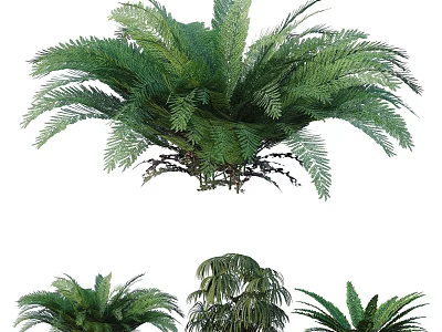Different Types Of Shrubs With Lush Green Leaves For Garden Landscaping 3d model