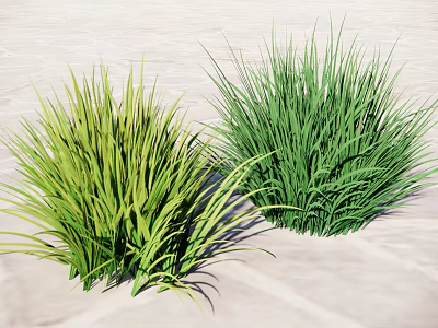 Light Green And Dark Green Bushy Grass Clumps On Light Colored Ground 3d model