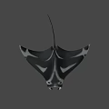 Black And White Manta Ray Game Movie Character With Sleek Body And Distinctive Patterns