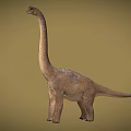 Reptile Dinosaur Model With Long Neck Tail And Scaly Skin Standing Pose On Neutral Background