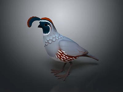 Standing Quail Bird With Red Blue Head Feathers And Gray Spotted Body 3d model