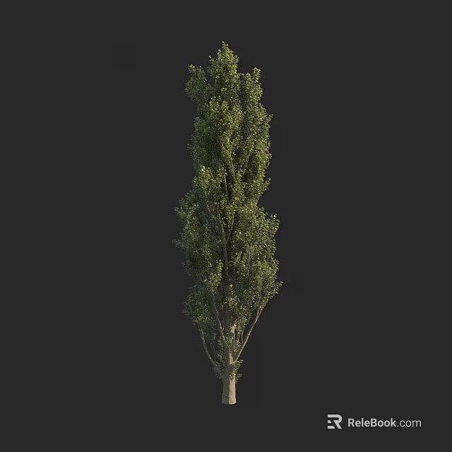 Tall Arbor With Lush Green Foliage And Sturdy Trunk Structure 3d model