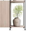 Elegant Modern Wooden Shelving Unit With Books Plants And Decorative Items