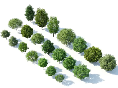 Different Types Of Lush Green Arbor Trees With Various Sizes And Shapes For Outdoor Landscape 3d model