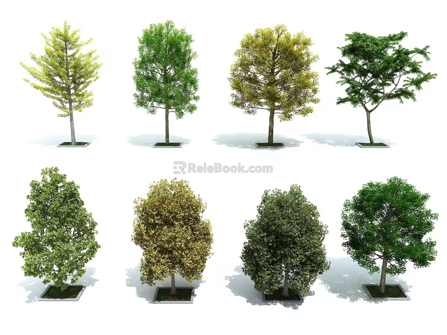 Tree Landscape Tree Street Tree Bird's Eye View Tree Scene Tree 3d model