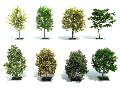 Tree Landscape Tree Street Tree Bird's Eye View Tree Scene Tree 3d model