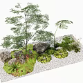 Natural Plant Combination Featuring Trees Ferns Rocks and White Gravel in Garden