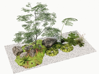 Courtyard sketch plant combination stone pebble plant pile dry landscape indoor landscape tree 3d model