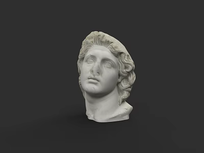 Classical White Marble Human Head Sculpture With Curly Hair Details 3d model